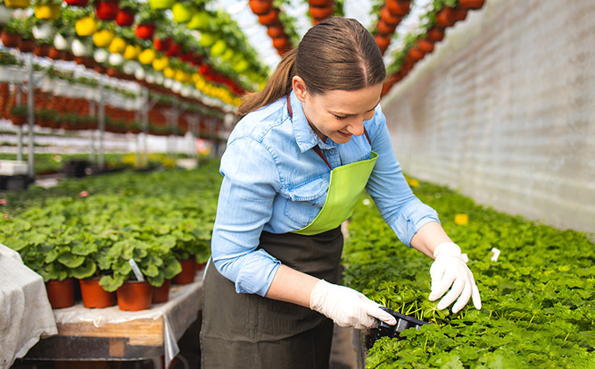 Food, Seed and Fruits Storage