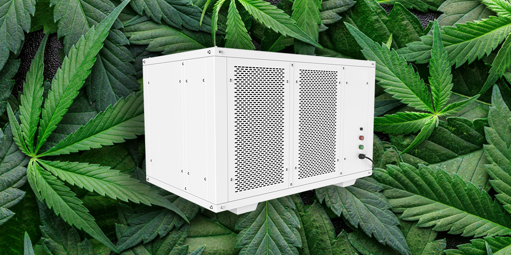 PRO500 Dehumidifier for Grow Room
