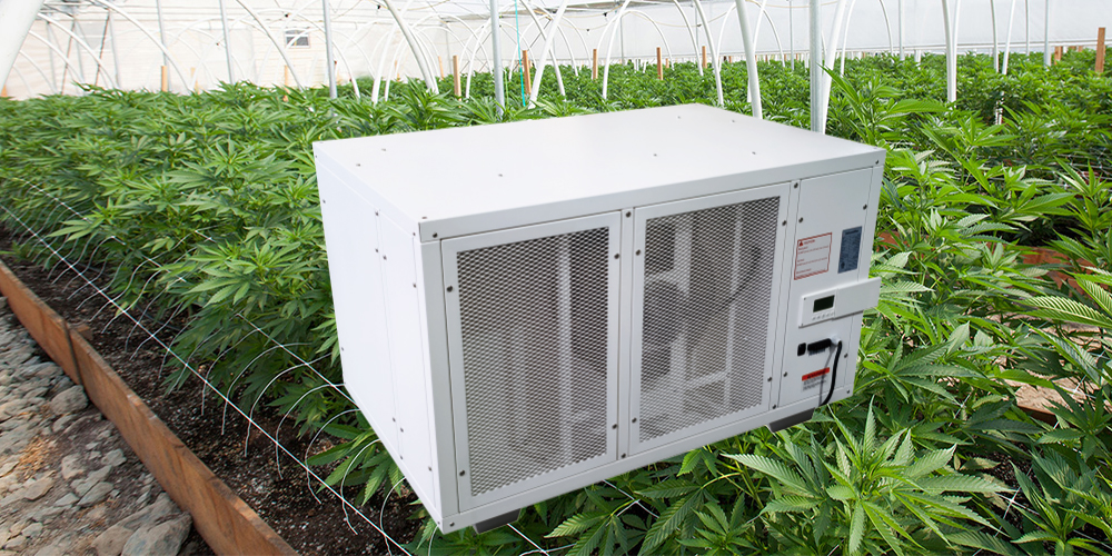 PRO500 Large Capacity Dehumidifier for Grow Room