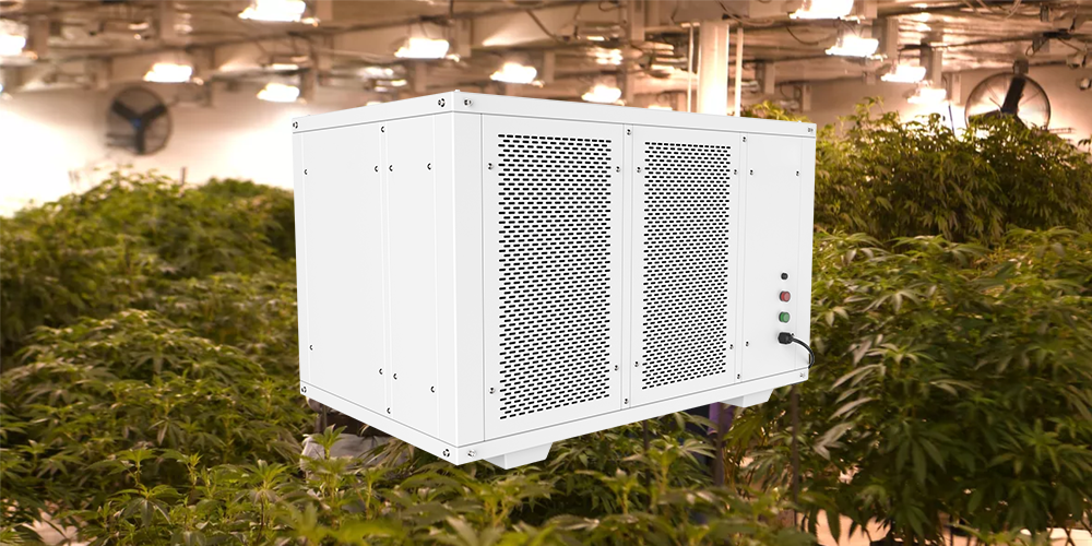 PRO500 Large Area Dehumidifier for Grow Room