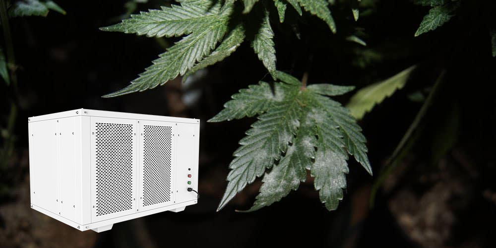 Pro500 Greenhouse Dehumidifier for White Spots Prevention