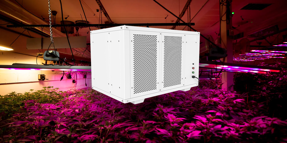 Pro500 Efficient Ceiling Dehumidifier for Grow Room