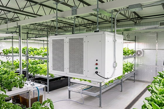 Utilizing a Dehumidifier to Facilitate Modern Indoor Planting