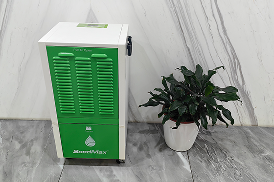 How to Efficiently Lower Humidity in a Grow Tent?