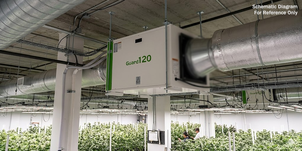 Guard120 Ceiling Mount Dehumidifier for Grow Room