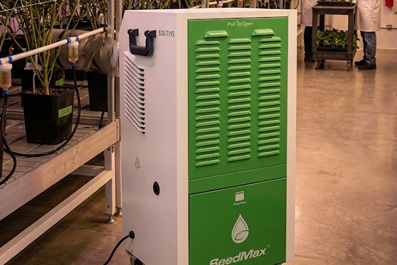 What Size Dehumidifier Do I Need for My Commercial Cannabis Grow