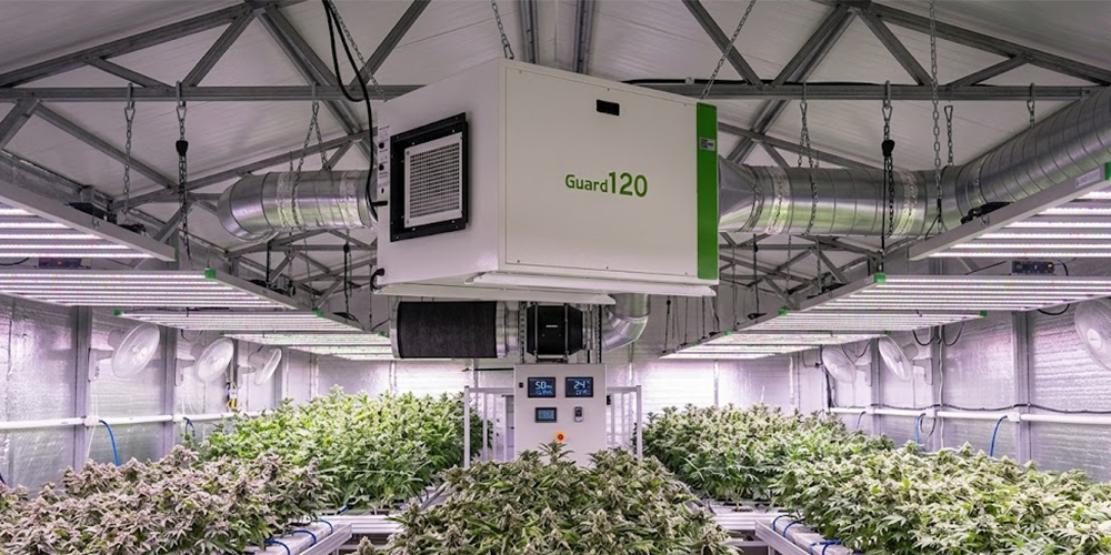 Guard120 Dehumidifier for Grow Room
