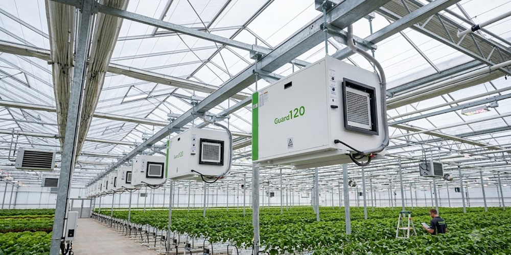 Guard120 Ceiling Mount Dehumidifier for Modern Agriculture Greenhouse