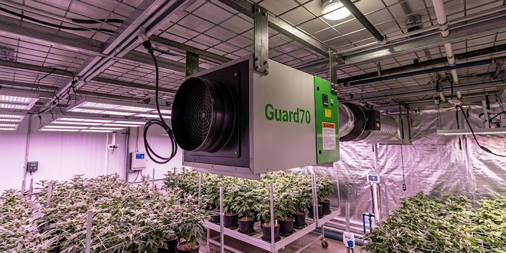 Guard70 Ceiling Dehumidifier for Indoor Agriculture Grow Room