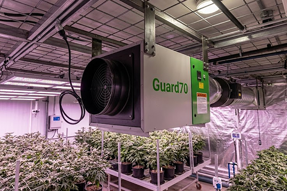 When Do You Need to Use a Grow Room Dehumidifier?