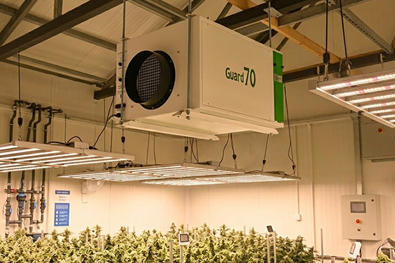 Why Most Grow Rooms Use Refrigerant Dehumidifiers